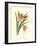 Striking Lilies III-Edward Step-Framed Art Print