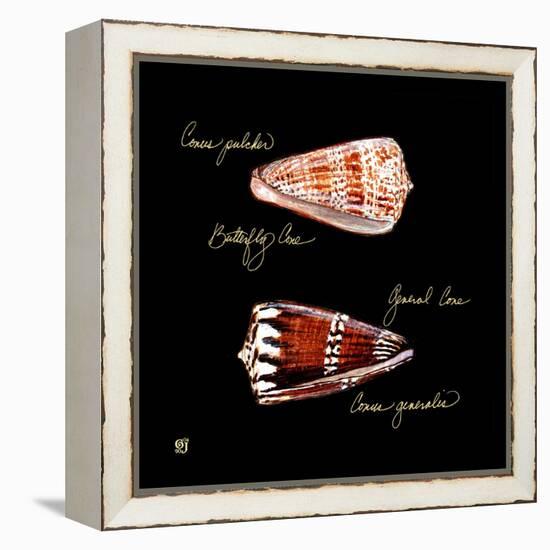 Striking Shells III-Ginny Joyner-Framed Stretched Canvas