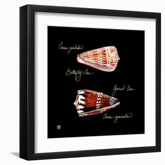 Striking Shells III-Ginny Joyner-Framed Art Print