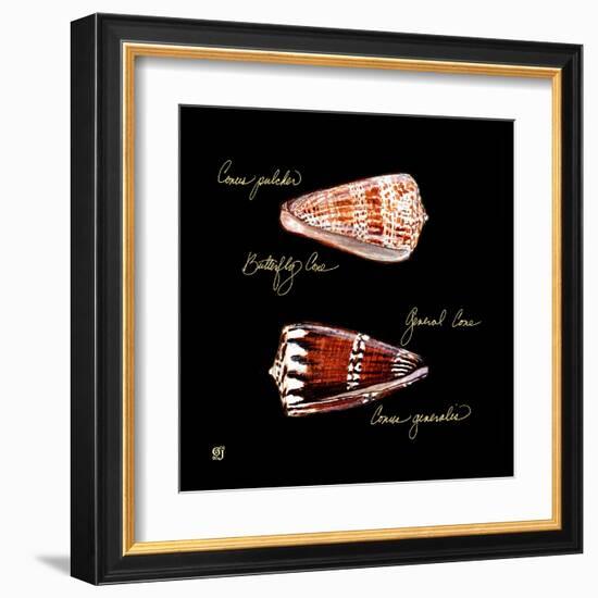 Striking Shells III-Ginny Joyner-Framed Art Print