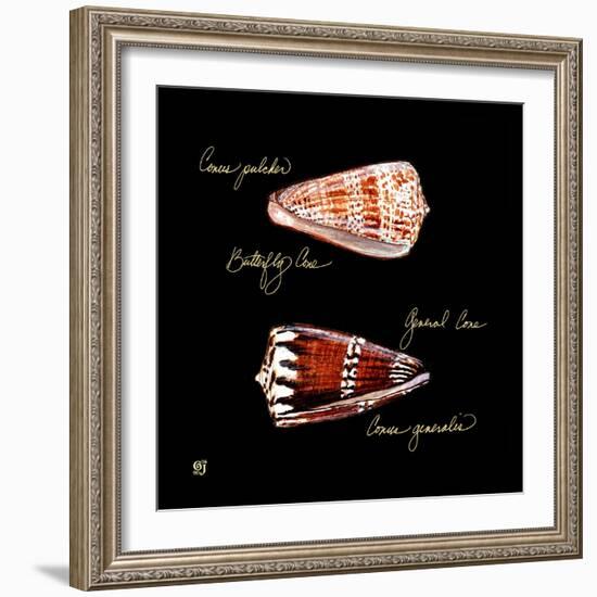 Striking Shells III-Ginny Joyner-Framed Art Print