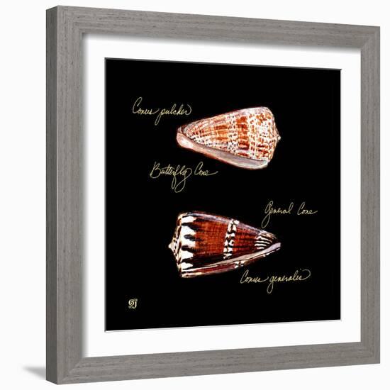 Striking Shells III-Ginny Joyner-Framed Art Print