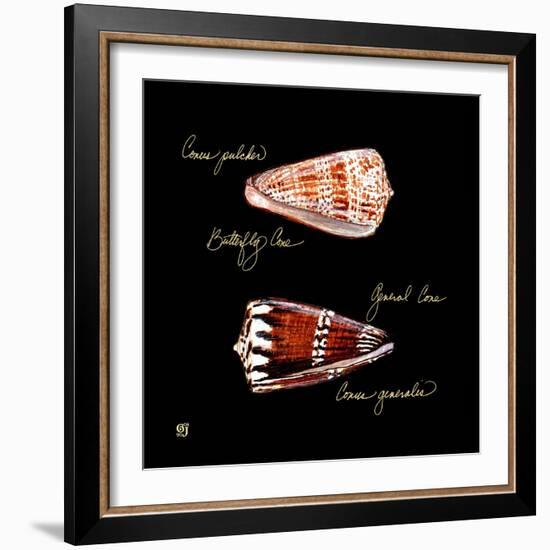 Striking Shells III-Ginny Joyner-Framed Art Print