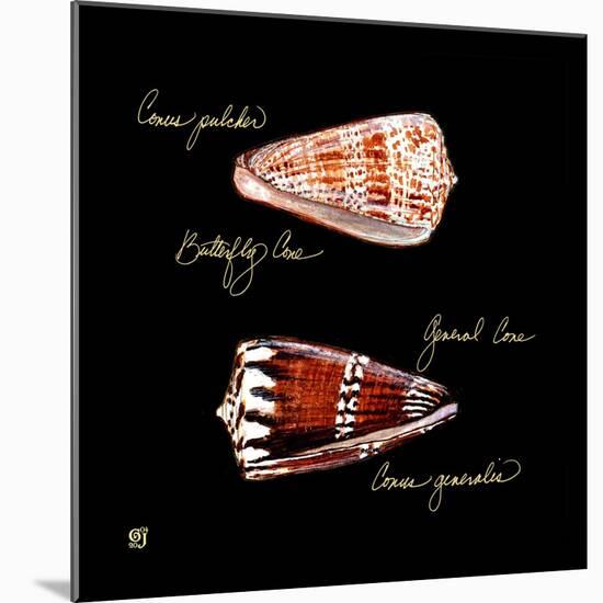 Striking Shells III-Ginny Joyner-Mounted Art Print