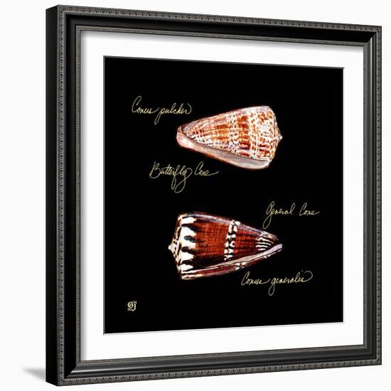 Striking Shells III-Ginny Joyner-Framed Art Print