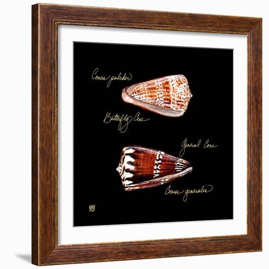 Striking Shells III-Ginny Joyner-Framed Premium Giclee Print