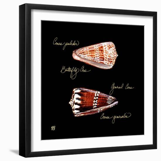 Striking Shells III-Ginny Joyner-Framed Premium Giclee Print