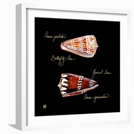 Striking Shells III-Ginny Joyner-Framed Premium Giclee Print