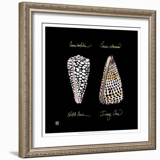 Striking Shells IV-Ginny Joyner-Framed Premium Giclee Print