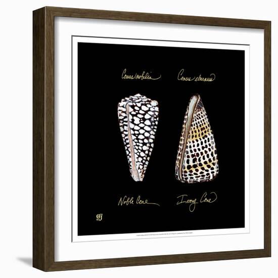 Striking Shells IV-Ginny Joyner-Framed Premium Giclee Print