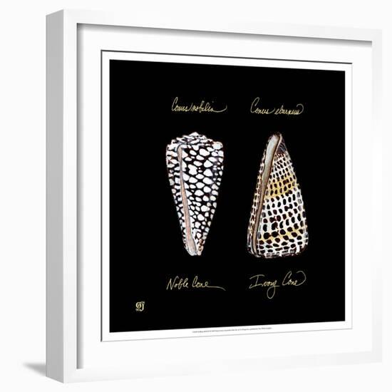 Striking Shells IV-Ginny Joyner-Framed Premium Giclee Print