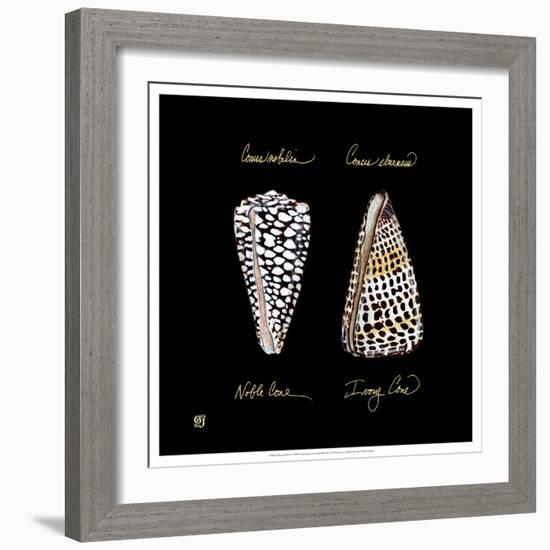 Striking Shells IV-Ginny Joyner-Framed Art Print