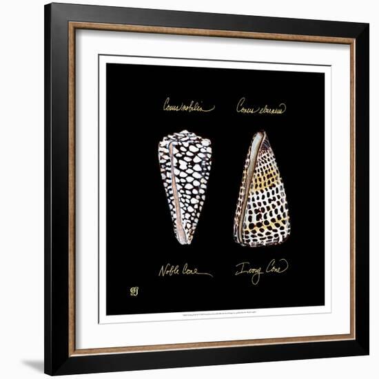 Striking Shells IV-Ginny Joyner-Framed Art Print