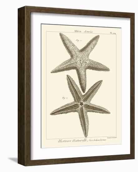 Striking Starfish I-Vision Studio-Framed Art Print