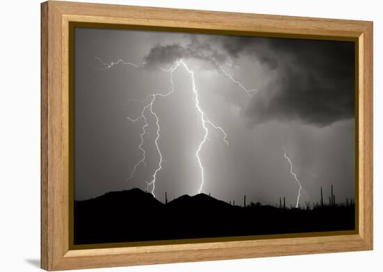 Striking Symmetry II BW-Douglas Taylor-Framed Premier Image Canvas