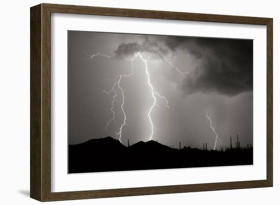 Striking Symmetry II BW-Douglas Taylor-Framed Photographic Print