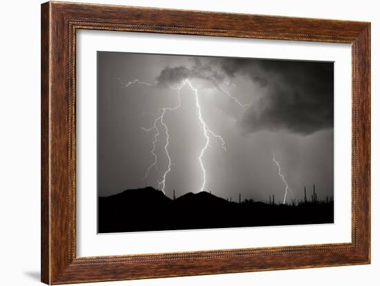 Striking Symmetry II BW-Douglas Taylor-Framed Photographic Print