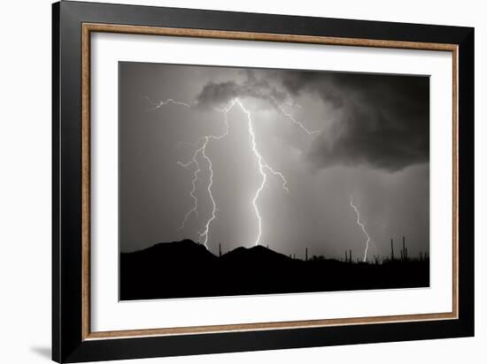 Striking Symmetry II BW-Douglas Taylor-Framed Photographic Print