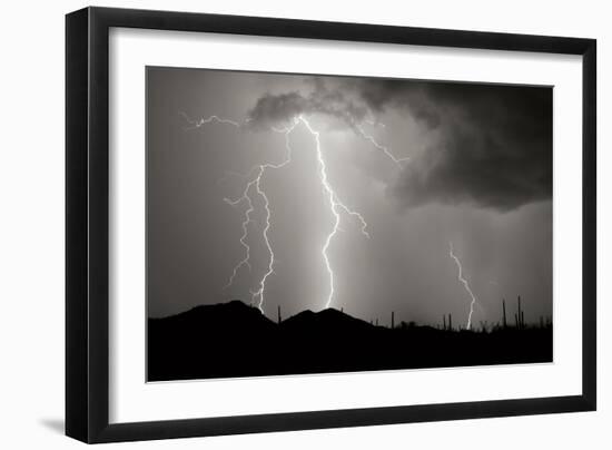 Striking Symmetry II BW-Douglas Taylor-Framed Photographic Print