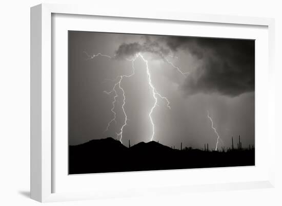 Striking Symmetry II BW-Douglas Taylor-Framed Photographic Print