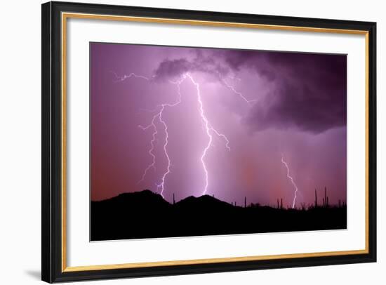 Striking Symmetry II-Douglas Taylor-Framed Photographic Print