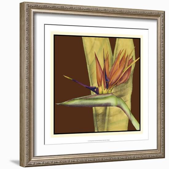 Striking Tropical II-Jennifer Goldberger-Framed Art Print