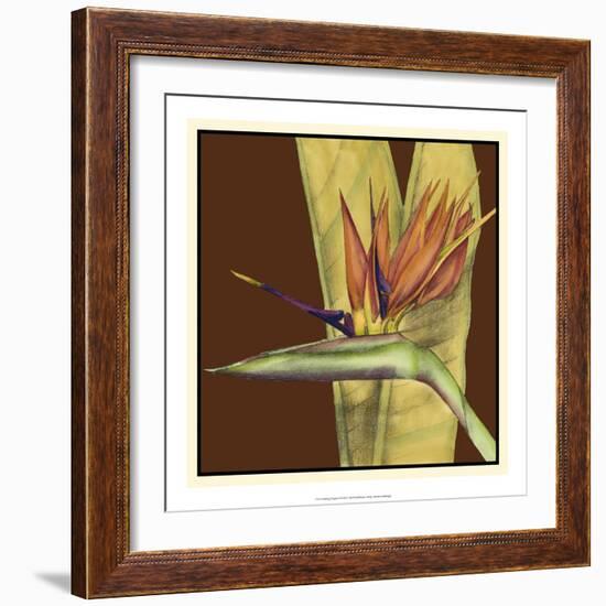 Striking Tropical II-Jennifer Goldberger-Framed Art Print