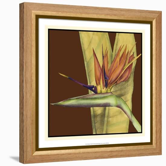 Striking Tropical II-Jennifer Goldberger-Framed Stretched Canvas