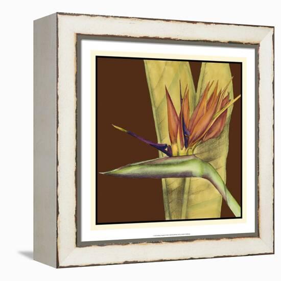 Striking Tropical II-Jennifer Goldberger-Framed Stretched Canvas