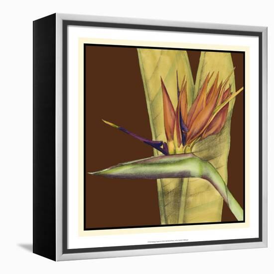 Striking Tropical II-Jennifer Goldberger-Framed Stretched Canvas