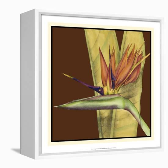 Striking Tropical II-Jennifer Goldberger-Framed Stretched Canvas