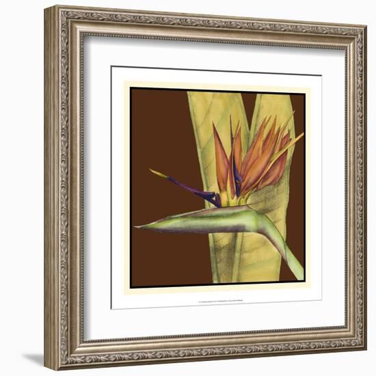 Striking Tropical II-Jennifer Goldberger-Framed Art Print