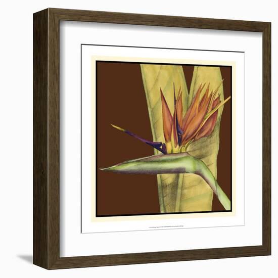 Striking Tropical II-Jennifer Goldberger-Framed Art Print