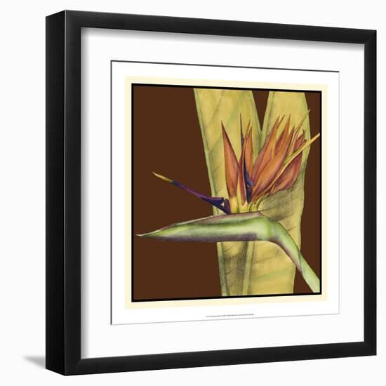 Striking Tropical II-Jennifer Goldberger-Framed Art Print