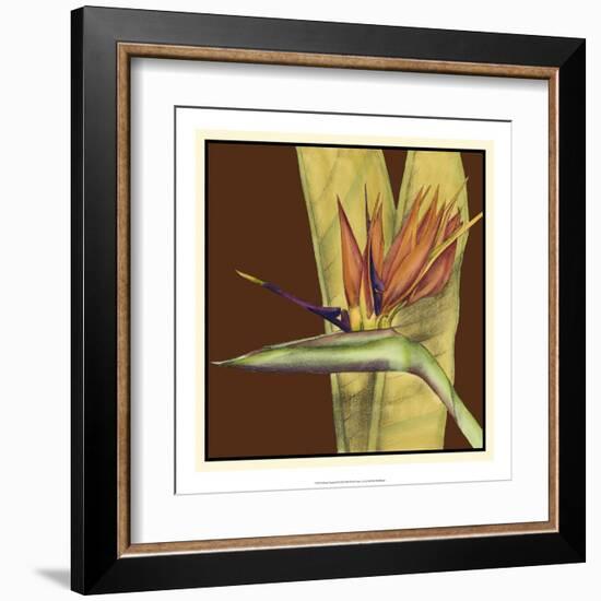 Striking Tropical II-Jennifer Goldberger-Framed Art Print