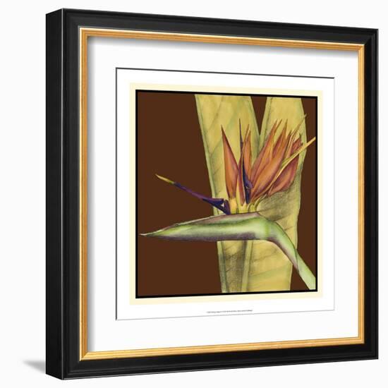 Striking Tropical II-Jennifer Goldberger-Framed Art Print