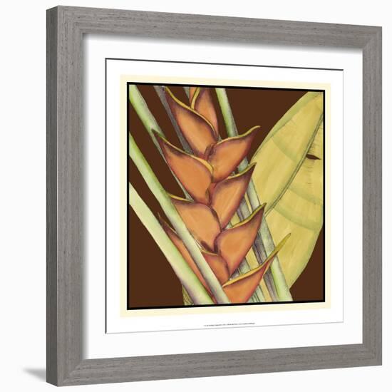 Striking Tropical IV-Jennifer Goldberger-Framed Art Print