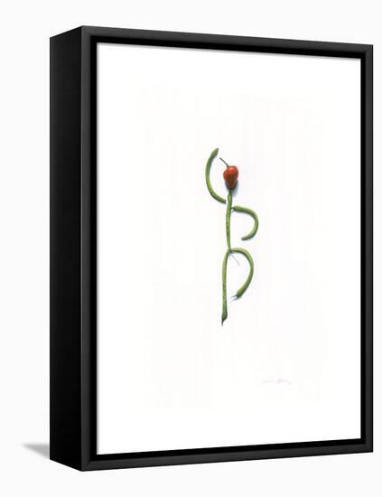 String Bean Chili Pepper Dancer-Donna Basile-Framed Premier Image Canvas