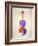 String I Cello-Dan Sproul-Framed Art Print