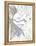 String Lion-Pam Varacek-Framed Stretched Canvas