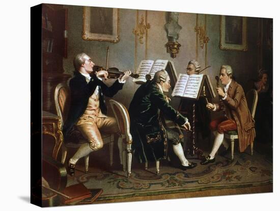 Stretched Canvas Print, , large