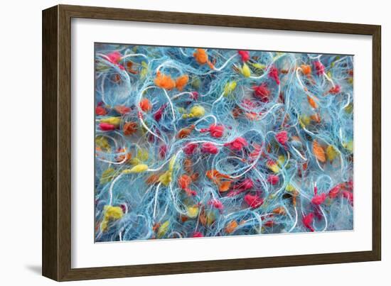 String-Erika Craddock-Framed Photographic Print