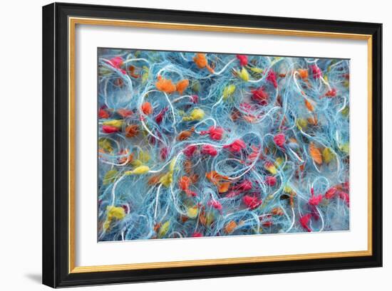 String-Erika Craddock-Framed Photographic Print