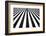 Stripe-Kouji Tomihisa-Framed Photographic Print