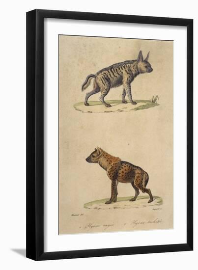 Striped and Spotted Hyena-null-Framed Art Print