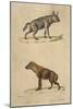 Striped and Spotted Hyena-null-Mounted Art Print