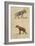 Striped and Spotted Hyena-null-Framed Premium Giclee Print