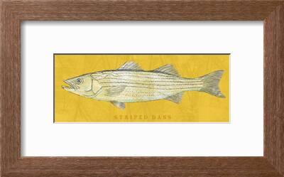 FISH ART PRINT Golden Fishing Wildlife Poster 14x32 Striped Bass by John W