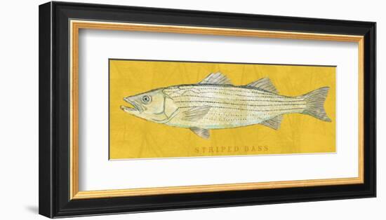 Striped Bass-John W^ Golden-Framed Art Print