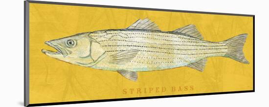 Striped Bass-John W^ Golden-Mounted Art Print